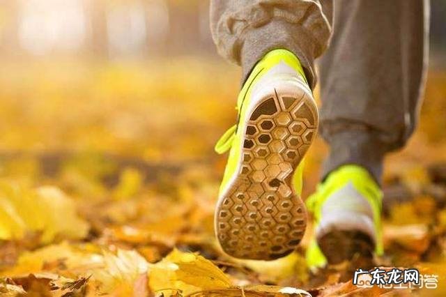 牛奶可以提高我们的免疫力吗?