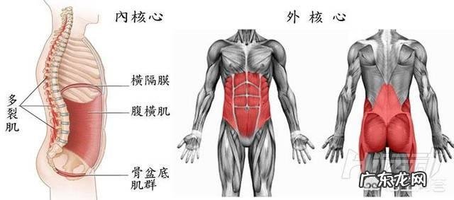 怎样让减肥后的肚皮瘦下去?
