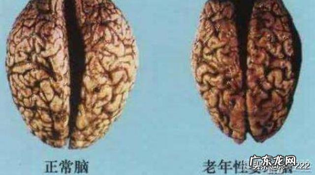 南方全年那么热,那么南方人是怎么生活的