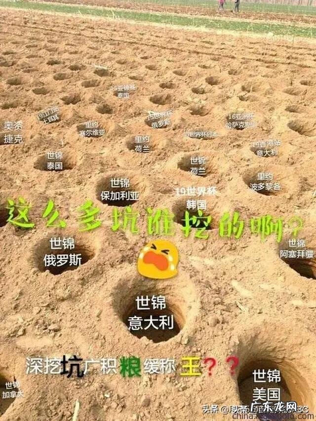 张常宁背后超常的刻苦努力,才造就了今日的她吗