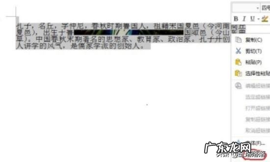 图片插入Word/WPS后发现图片和文字重叠怎么办