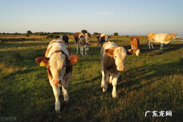 芬兰四季的气候与昼夜时长是怎样的