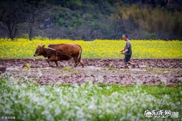 谁能介绍一些比较少见的地方特色美食?