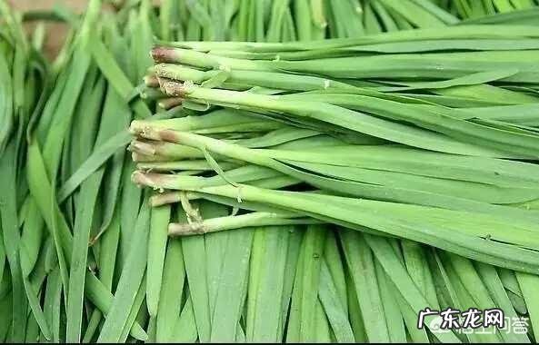 谁能介绍一些比较少见的地方特色美食?