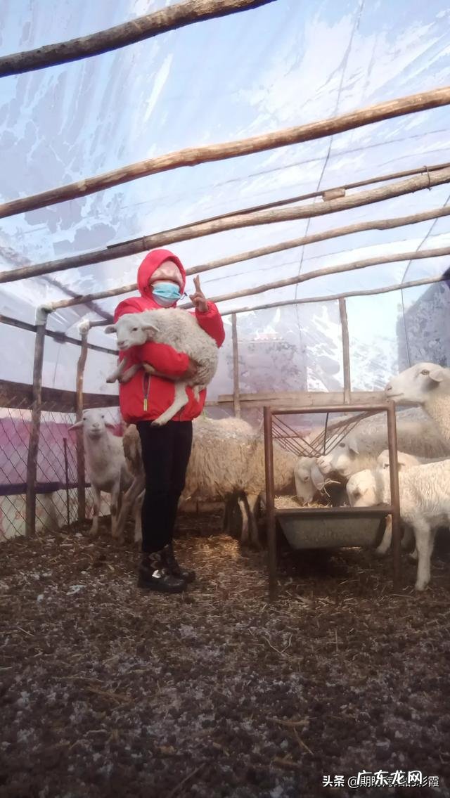 你对美女的定义是什么样的?