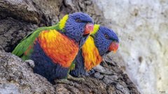 跳绳3000个相当于跑步几公里？