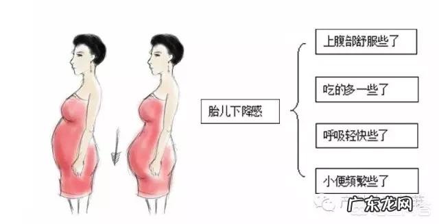 还有3天就预产期了,宝宝还没有发动,临产前有什么征兆呢