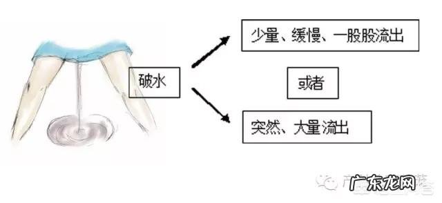 还有3天就预产期了,宝宝还没有发动,临产前有什么征兆呢