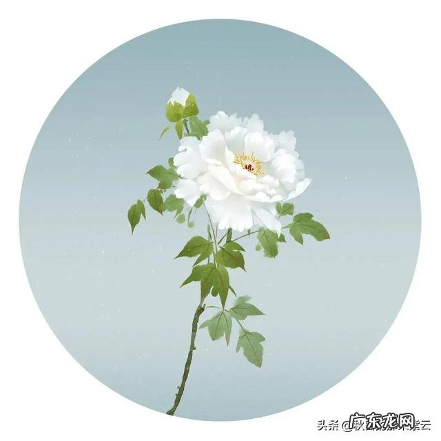 如何克服孤独感，习惯一个人的生活？