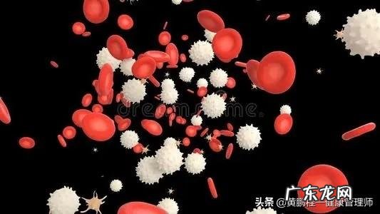 为什么感觉体温降低，免疫力也会降低？