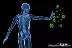 为什么感觉体温降低，免疫力也会降低？