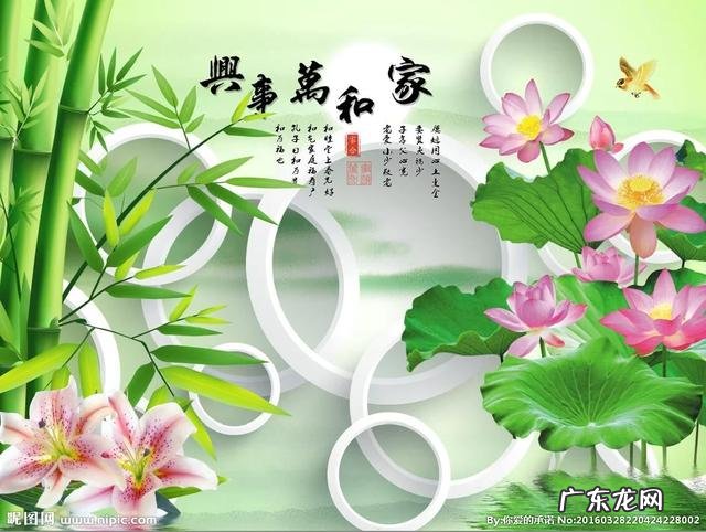 夫妻之间永远有说不完的话吗?无话可说怎么办?