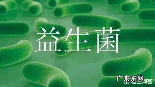 益生菌粉可以长期服用吗?