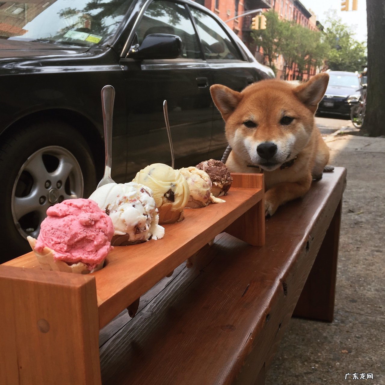 晒干的苦瓜泡着喝可以减肥吗?