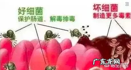 宝宝断母乳后只喝奶粉,喝奶粉就拉肚子,现在该如何是好?