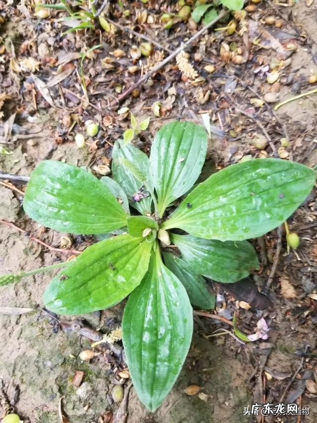 【原创】我们成长了半生,是否宠爱了我们的父母?