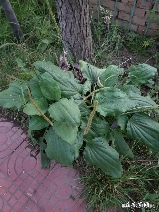 【原创】我们成长了半生,是否宠爱了我们的父母?