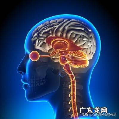 哪些饮食习惯会爆发脑梗?