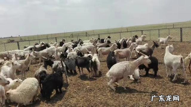 作为一个南方人,有哪些事情是你去了北方才知道的?