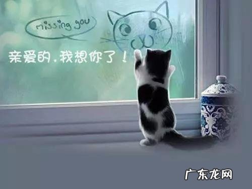 2020已经过去三分之二了,你们今年最缺什么?