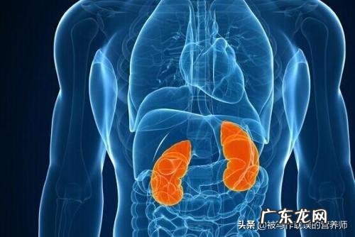 肾小球肾炎患者为什么会出现血尿和蛋白尿?