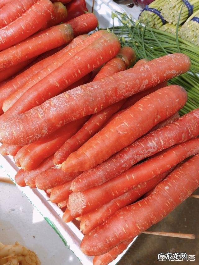 小米可以和胡萝卜西兰花红枣鸡肉一起煮粥吗?