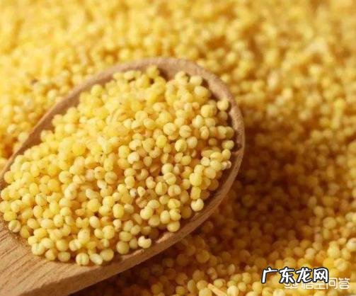 小米可以和胡萝卜西兰花红枣鸡肉一起煮粥吗?