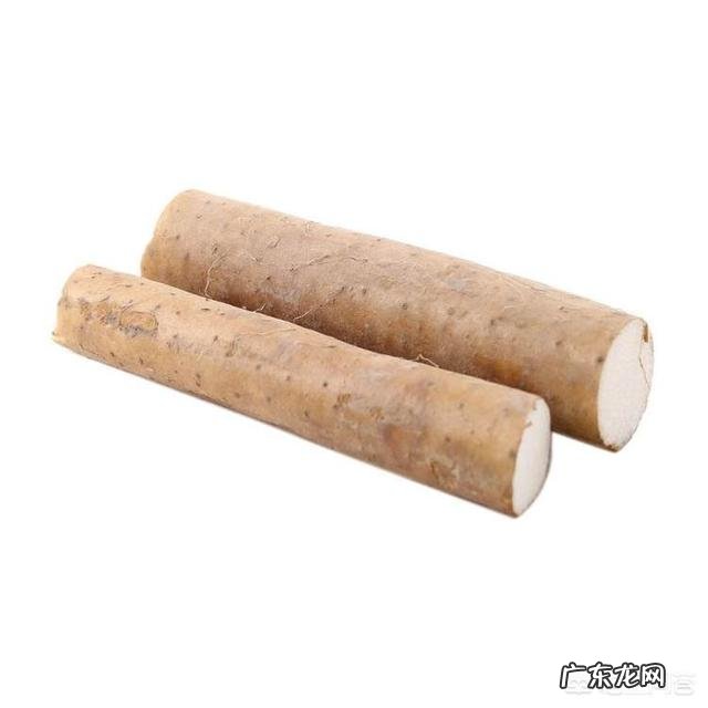 小米可以和胡萝卜西兰花红枣鸡肉一起煮粥吗?