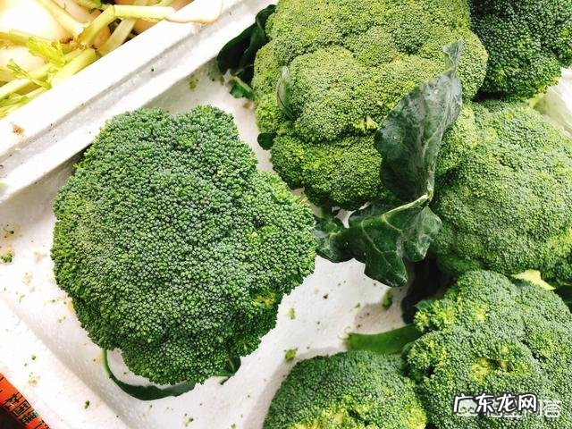 小米可以和胡萝卜西兰花红枣鸡肉一起煮粥吗?