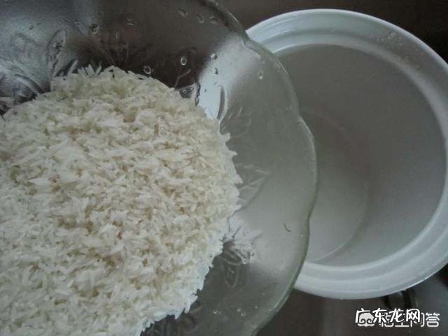 小米可以和胡萝卜西兰花红枣鸡肉一起煮粥吗?