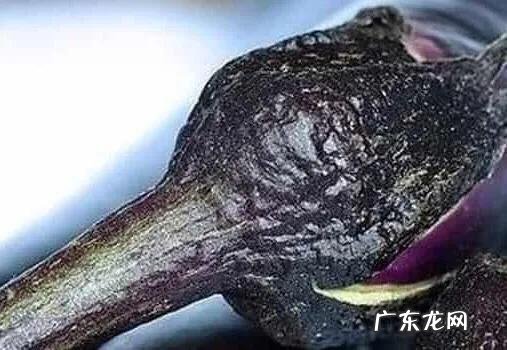 内调淡斑的最佳方法有哪些?