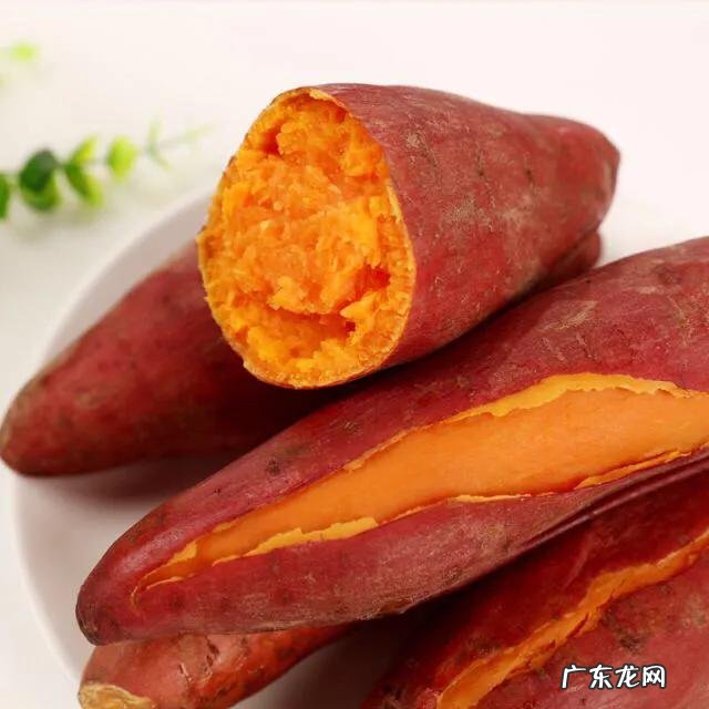 红薯中淀粉的含量是多少?会增肥吗?