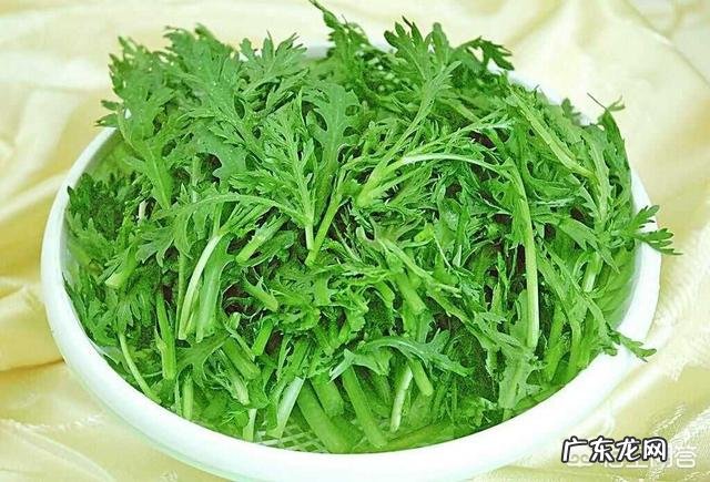 蒸玉米窝窝头的做法大全 茼蒿玉米窝窝头做法是什么？