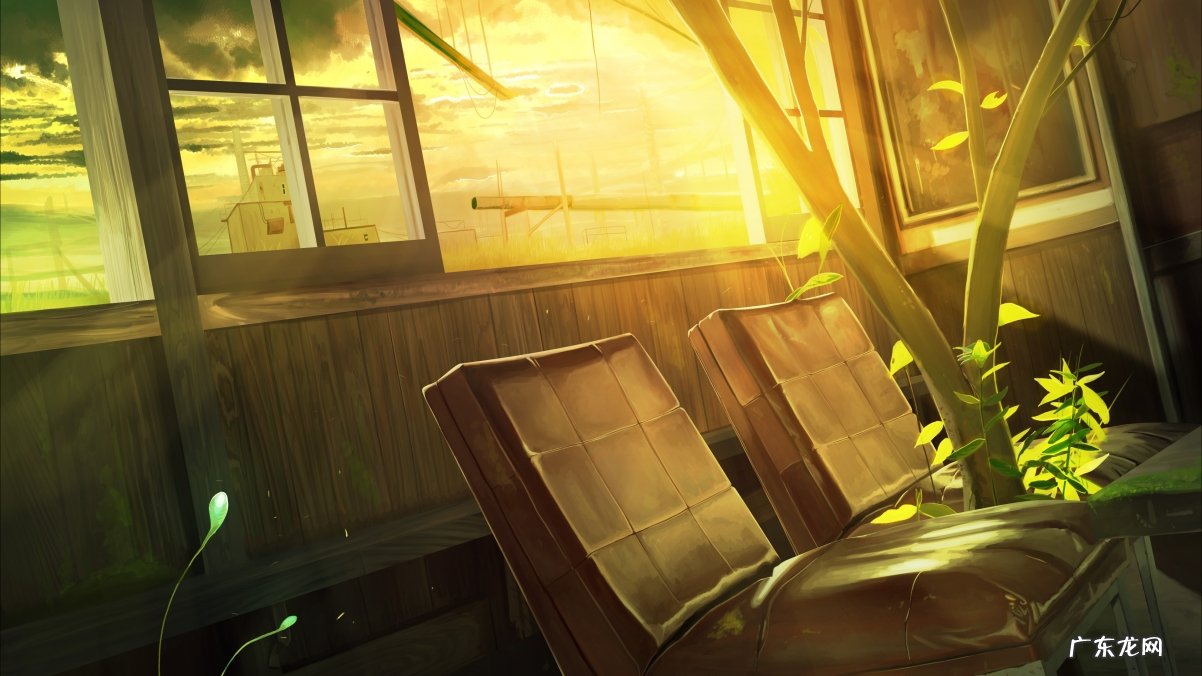 都说左旋肉碱的减肥效果很好,谁用过真的有效吗?