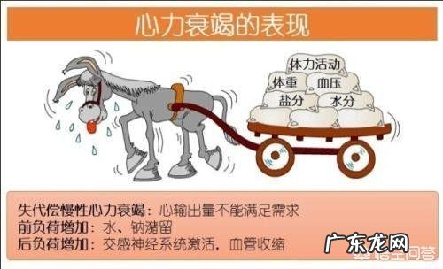 心衰是一种病还是一种并发症是什么引起的