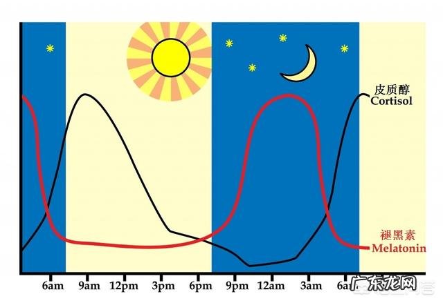 晚上几点睡觉才不算熬夜？熬夜有什么危害？