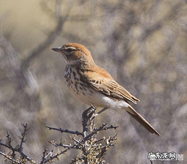 晚上几点睡觉才不算熬夜？熬夜有什么危害？