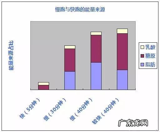 运动超30分钟才消耗脂肪?