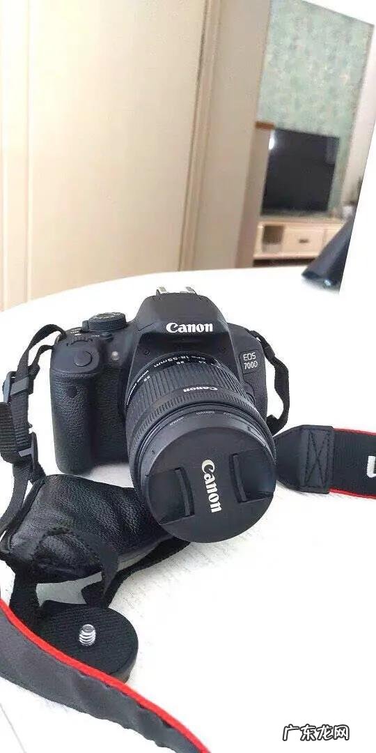 佳能77d与200d哪个好一些？