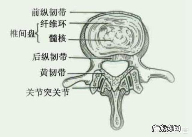 站立半小时左右腰部就开始酸痛是什么原因?