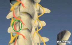 站立半小时左右腰部就开始酸痛是什么原因？