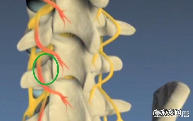 站立半小时左右腰部就开始酸痛是什么原因?