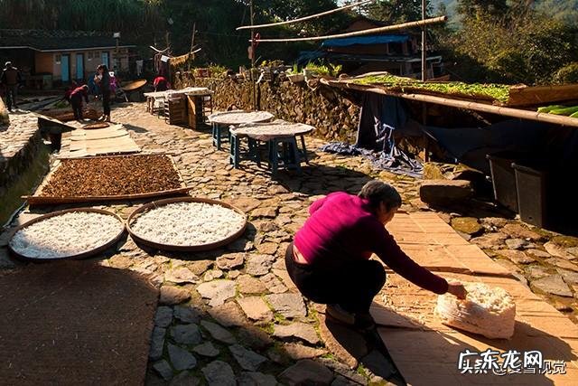 2020年拍美食视频有希望吗？