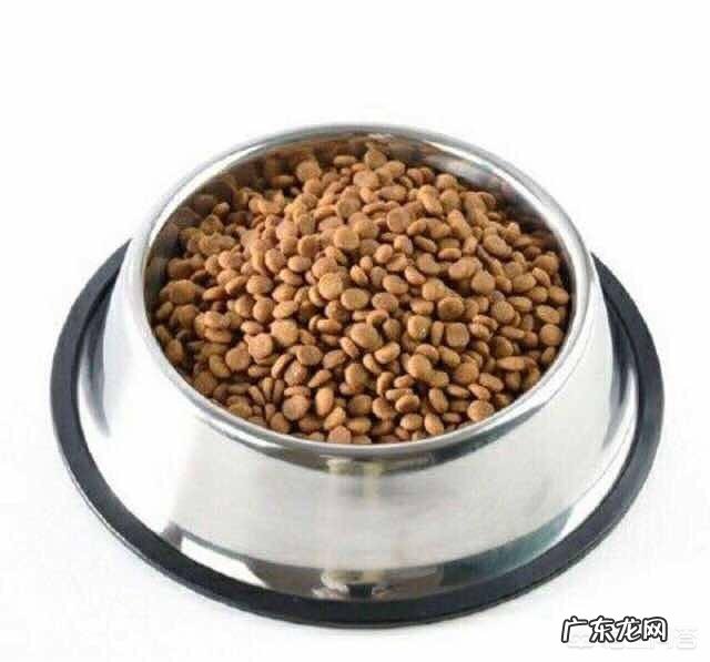 三个半月拉布拉多能吃多少狗粮