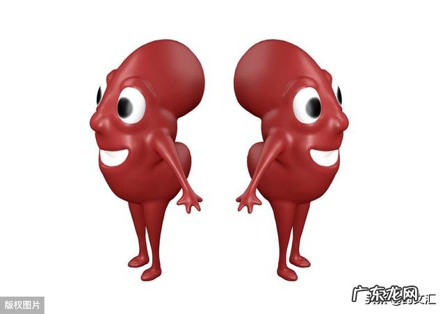 有什么办法可以保持肾健康?