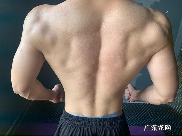 一周健身6天,每天只练一个部位,这样的训练是对是错?