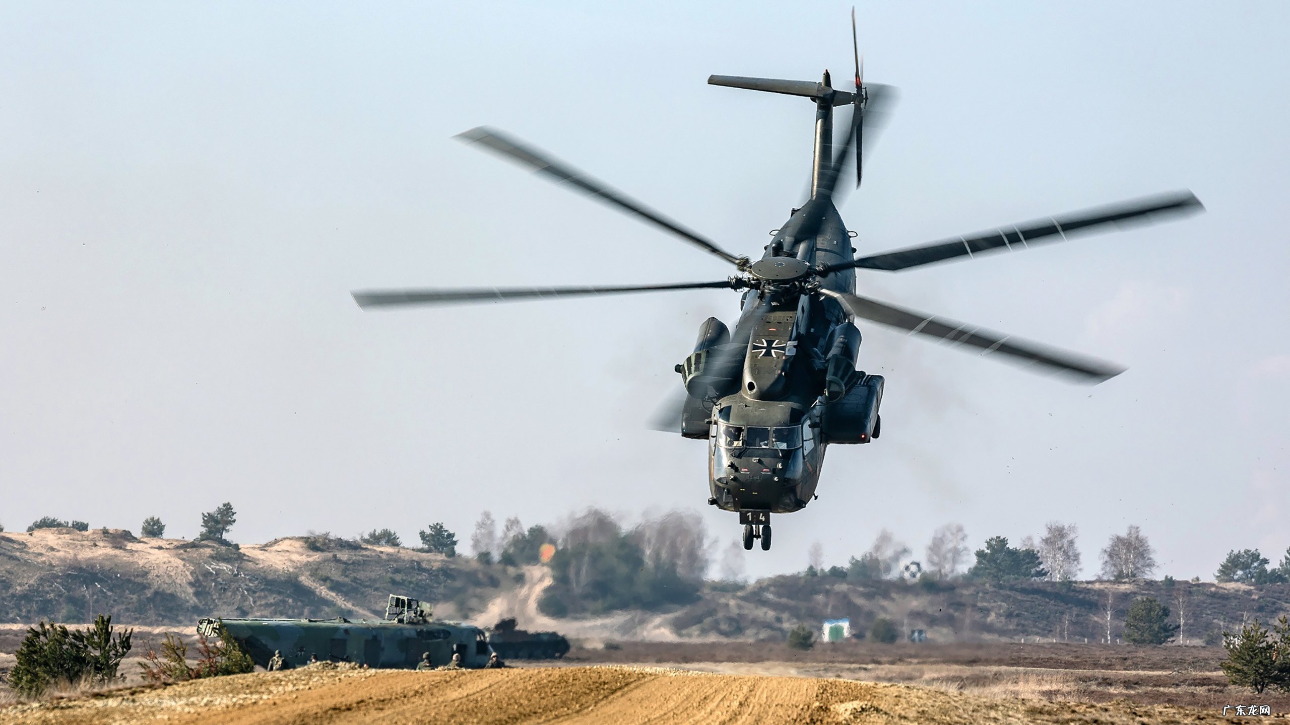绿茶粉加酸奶可以减肥吗?