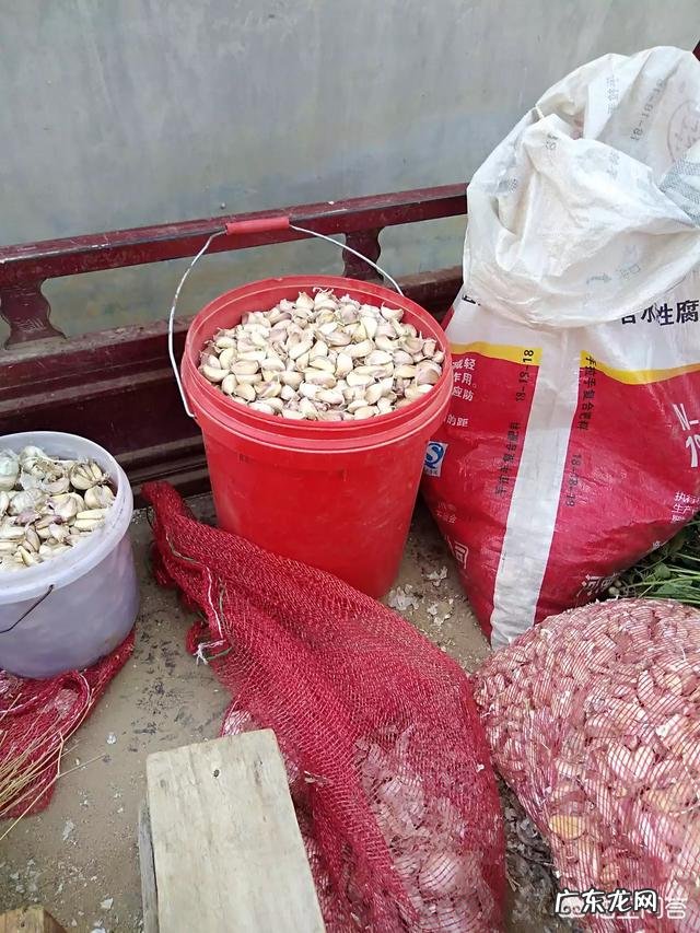 买回来的蒜剥皮保存好,还是连皮保存好?