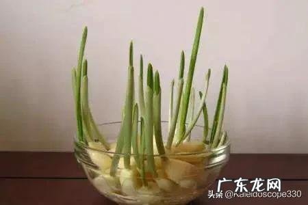 买回来的蒜剥皮保存好,还是连皮保存好?