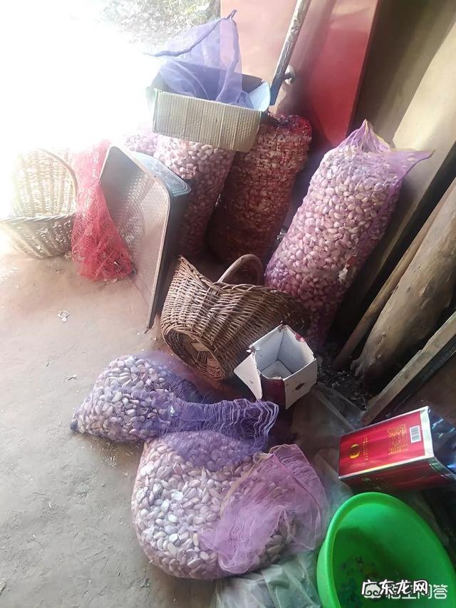 买回来的蒜剥皮保存好,还是连皮保存好?